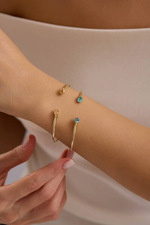 DAMLA TAŞLI KELEPÇE - 1