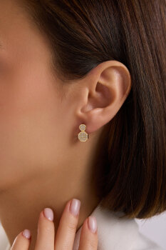 TAŞLI BAL PETEĞİ KÜPE - 2